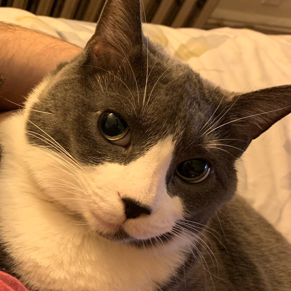 Meet your Posher, Kris